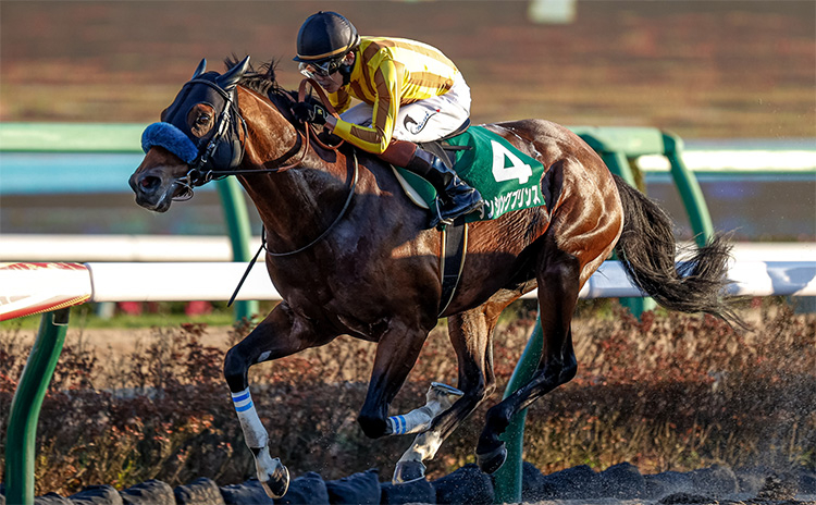 【カペラステークス 予想】過去10年優勝馬がゼロのデータに挑む人気馬は… 過去10年のレース結果(1～3着馬)のデータ一覧/競馬予想データ