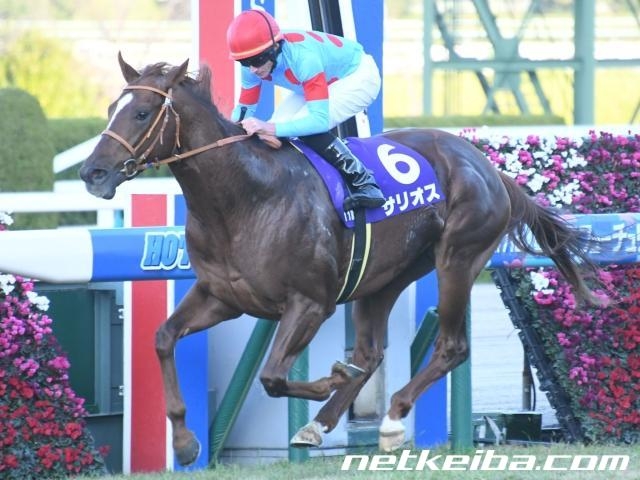 第71回朝日杯フューチュリティステークスを3枠6番で制したサリオス (c)netkeiba.com