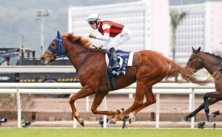 香港ヴァーズ（G1）歴代日本馬出走・成績一覧