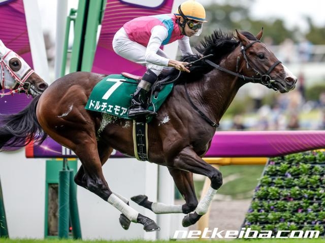 朝日杯FSで人気が予想されるドルチェモア(c)netkeiba.com