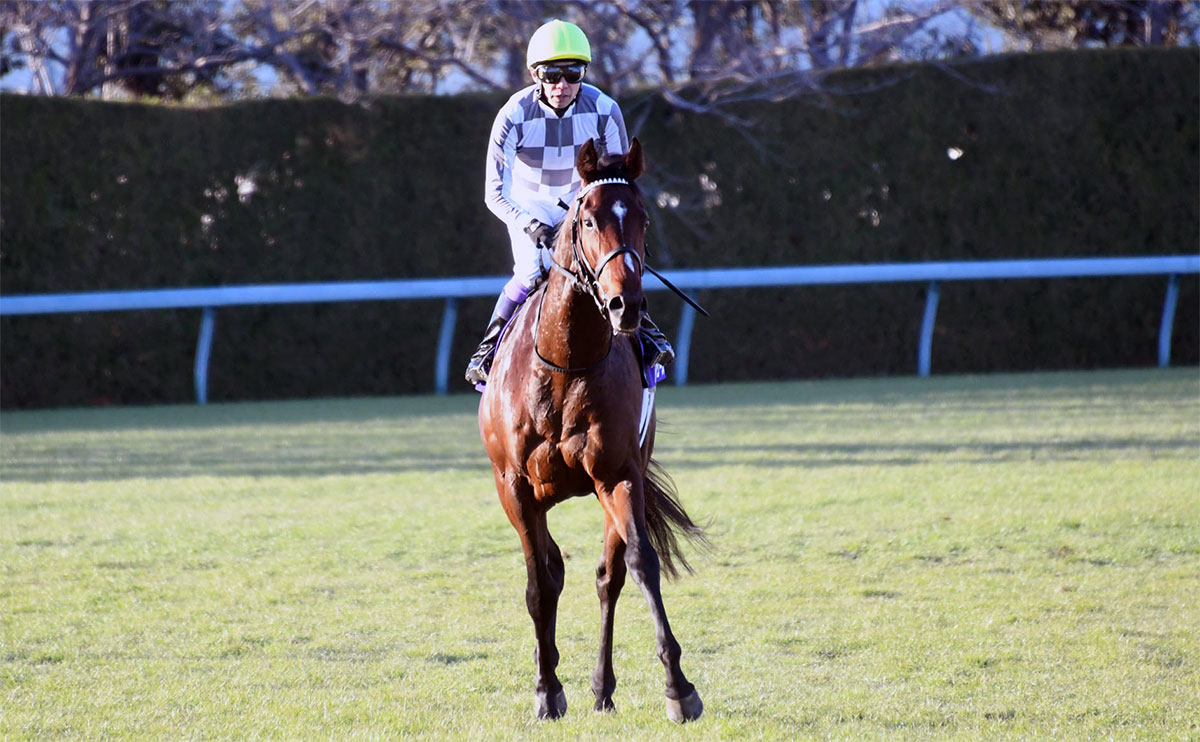 第73回朝日杯FSを制したドウデュース、鞍上は武豊騎手(c)netkeiba.com