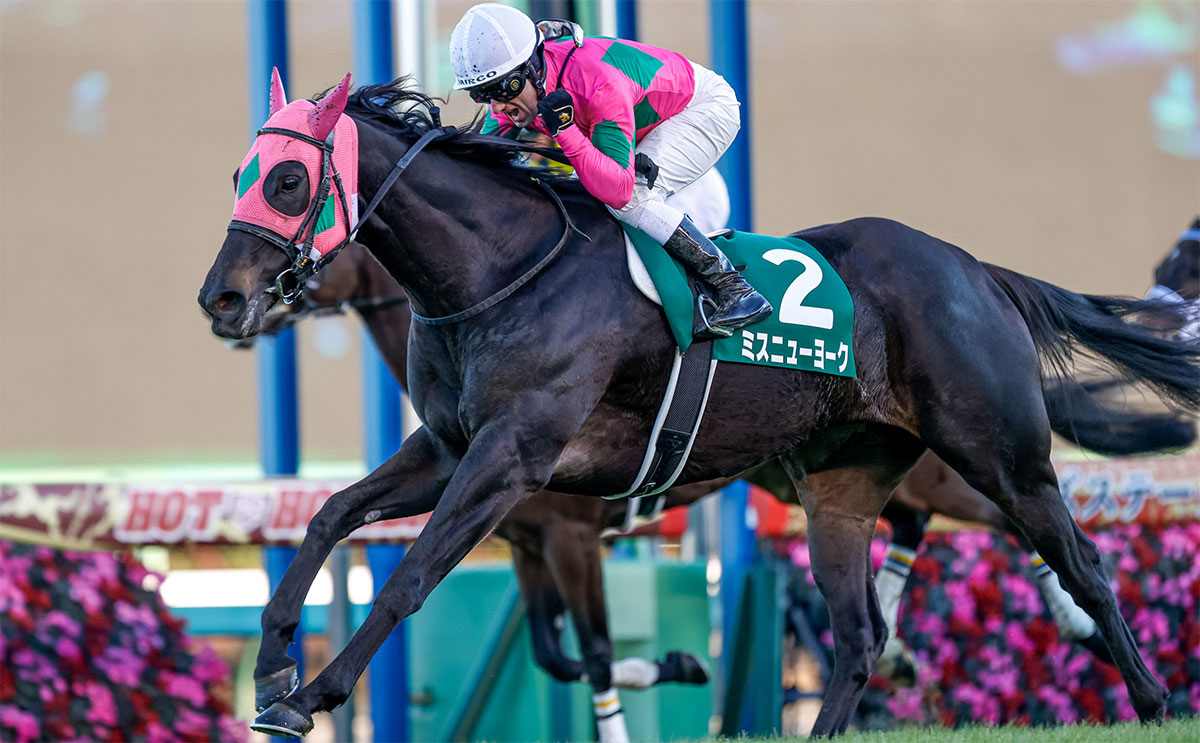 【ターコイズS 予想】荒れる牝馬重賞の的中のヒントは… 過去7年のレース結果(1～3着馬)のデータ一覧/競馬予想データ