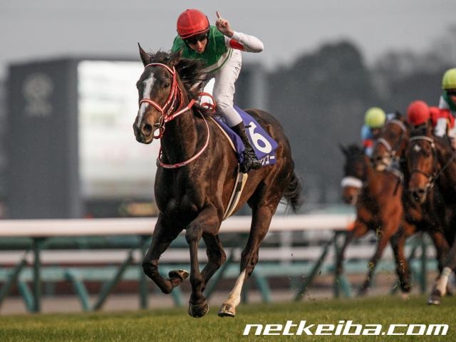 第64回有馬記念を3枠6番で勝利したリスグラシュー (c)netkeiba.com