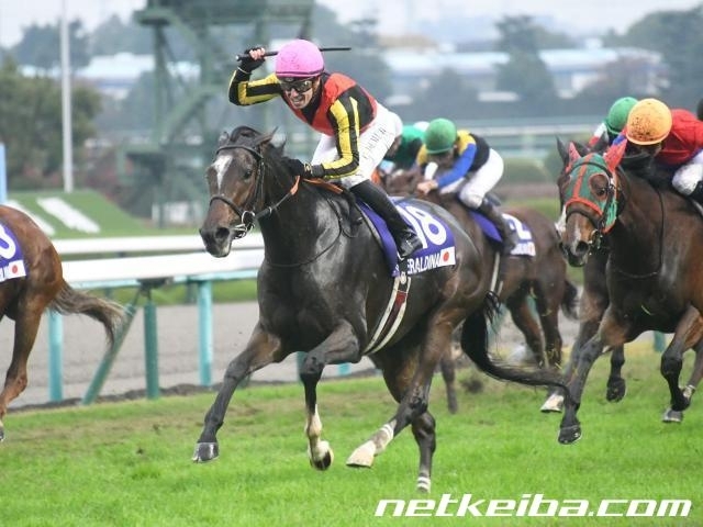 有馬記念史上初の母子制覇が期待されるジェラルディーナ(c)netkeiba.com