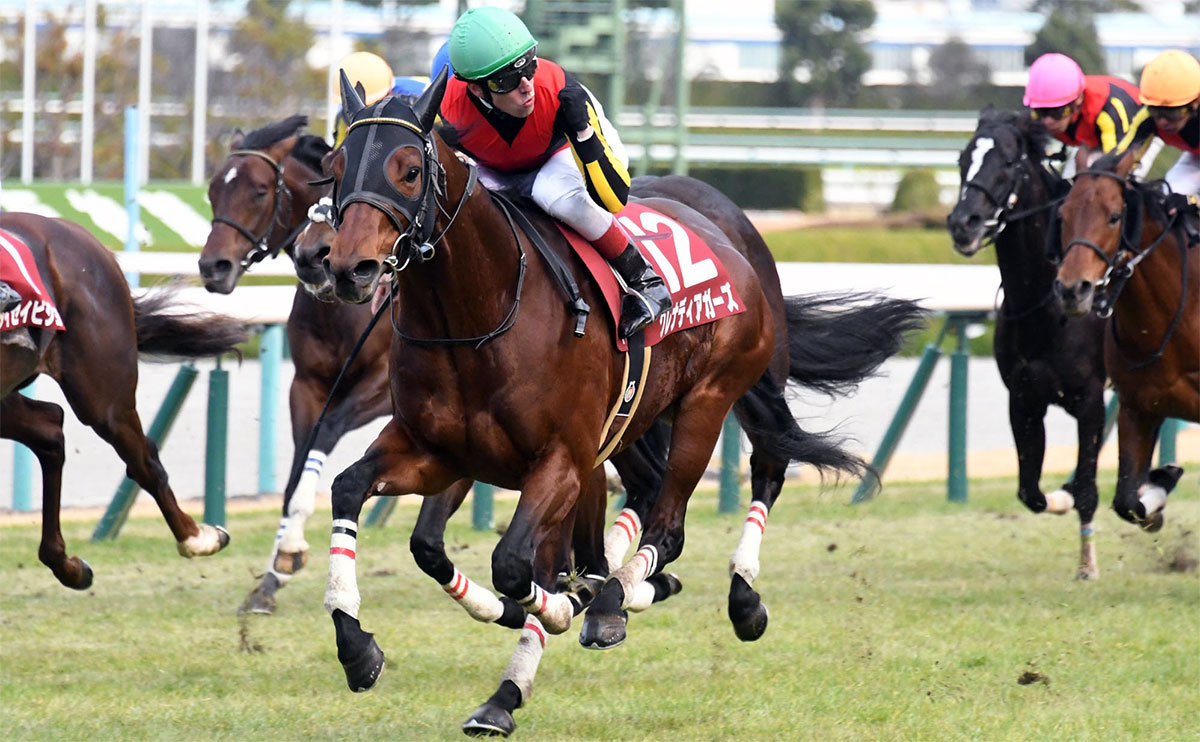 第16回阪神カップを制したグレナディアガーズ、鞍上はC.デムーロ騎手(c)netkeiba.com