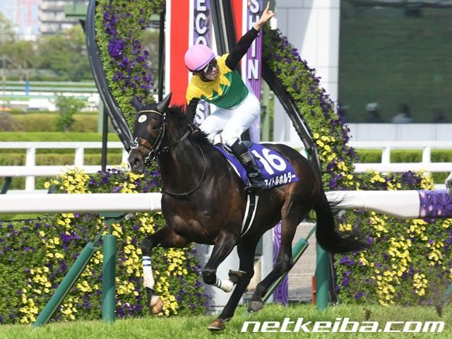 有馬記念に出走するタイトルホルダー (c)netkeiba.com