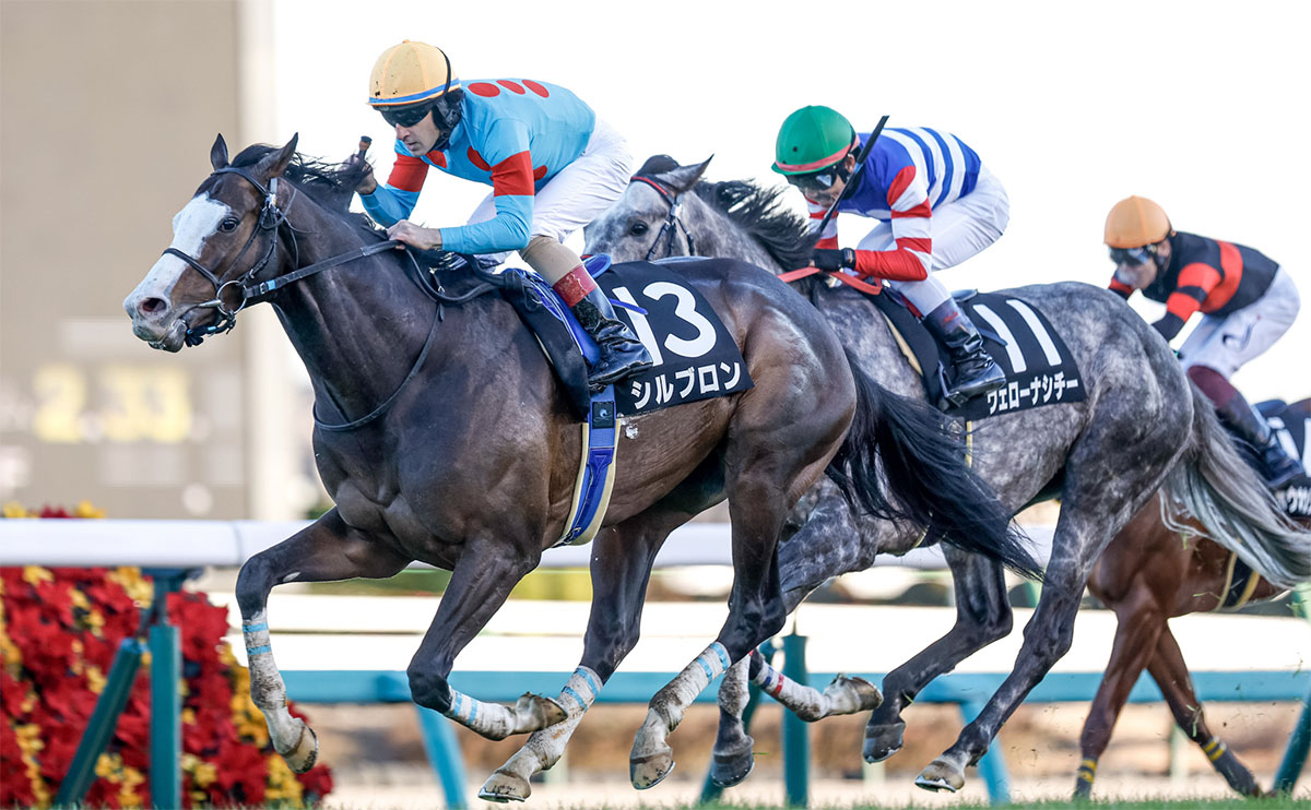 2022年有馬記念前日のグレイトフルS(中山芝2500)はここで名前を挙げた騎手のワンツー(撮影：下野雄規)