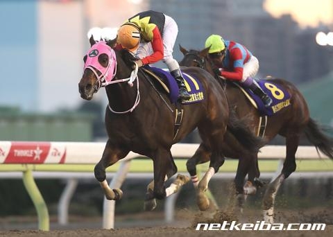 第62回東京大賞典を5番人気で勝利したアポロケンタッキー (c)netkeiba.com