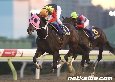 第62回東京大賞典を5番人気で勝利したアポロケンタッキー (c)netkeiba.com