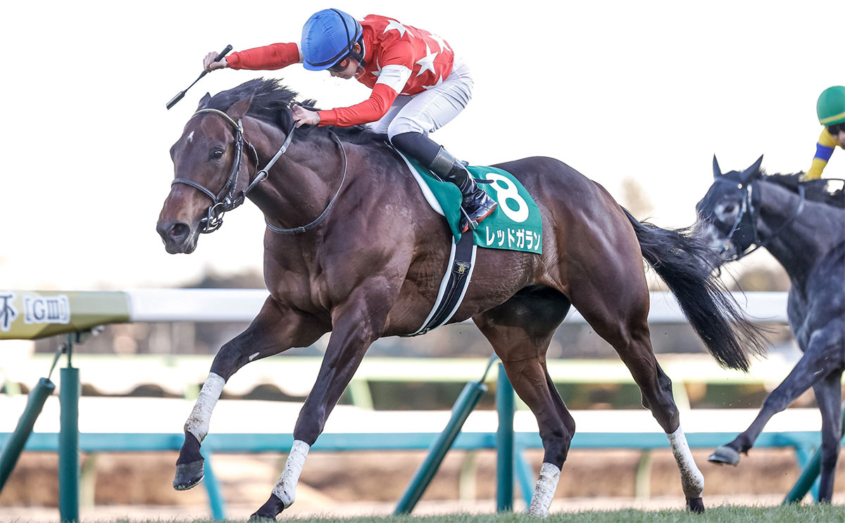 第71回中山金杯を制したレッドガラン、鞍上は斎藤新騎手(撮影：下野雄規)