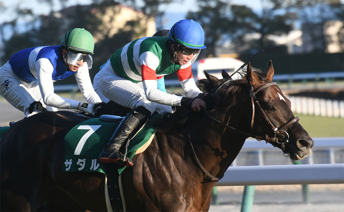 第60回京都金杯を制したザダル、鞍上は松山弘平騎手(c)netkeiba.com