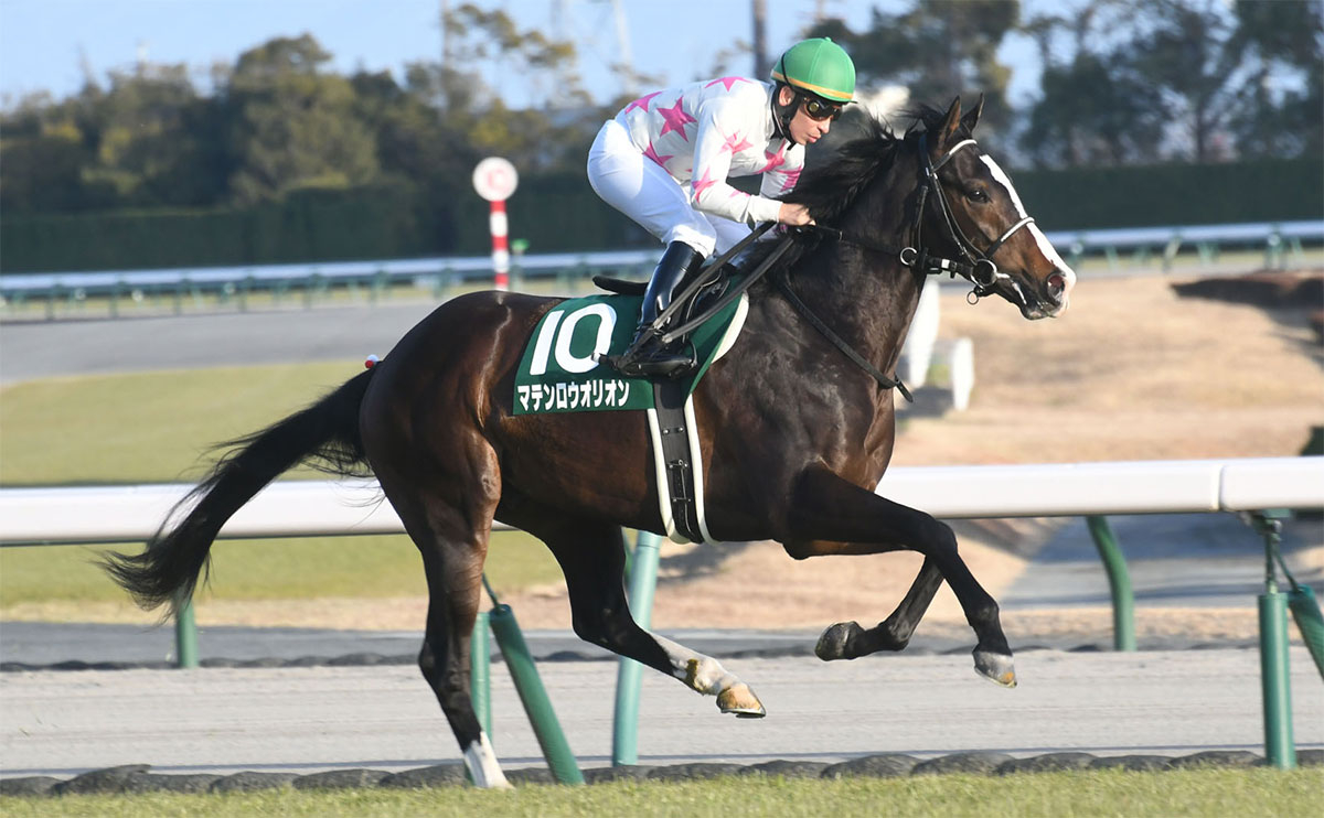 【京都金杯最新情報】2023年中央競馬、好スタートを切るのは誰だ？