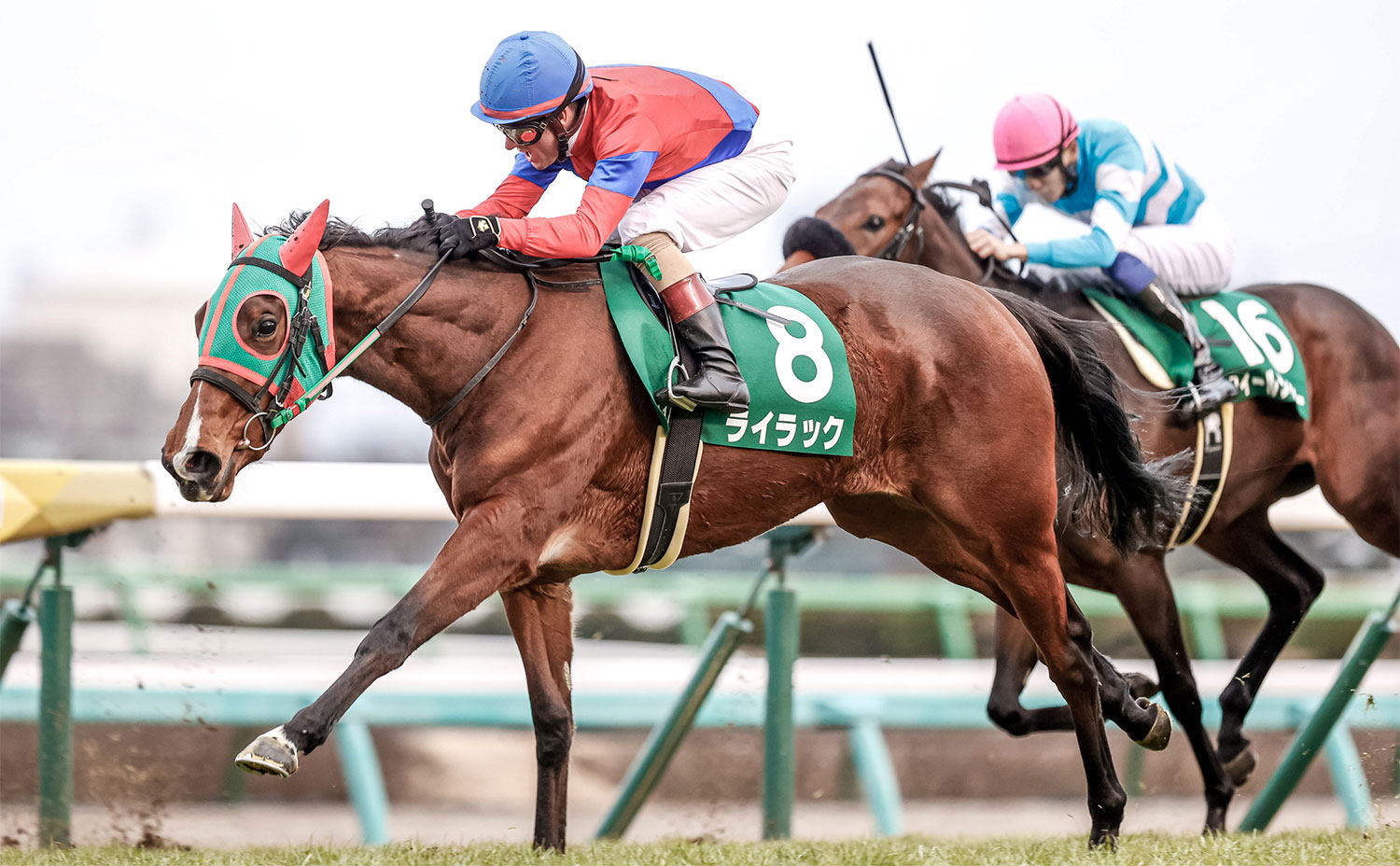 【フェアリーS予想・過去10年データ】荒れる重賞の穴馬傾向とは？ /競馬予想データ