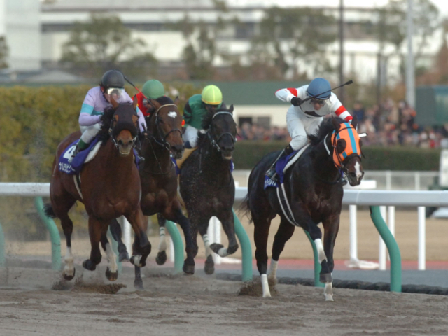 ホッコータルマエの軌跡 GI＆JpnI・10勝のダート王/名馬列伝