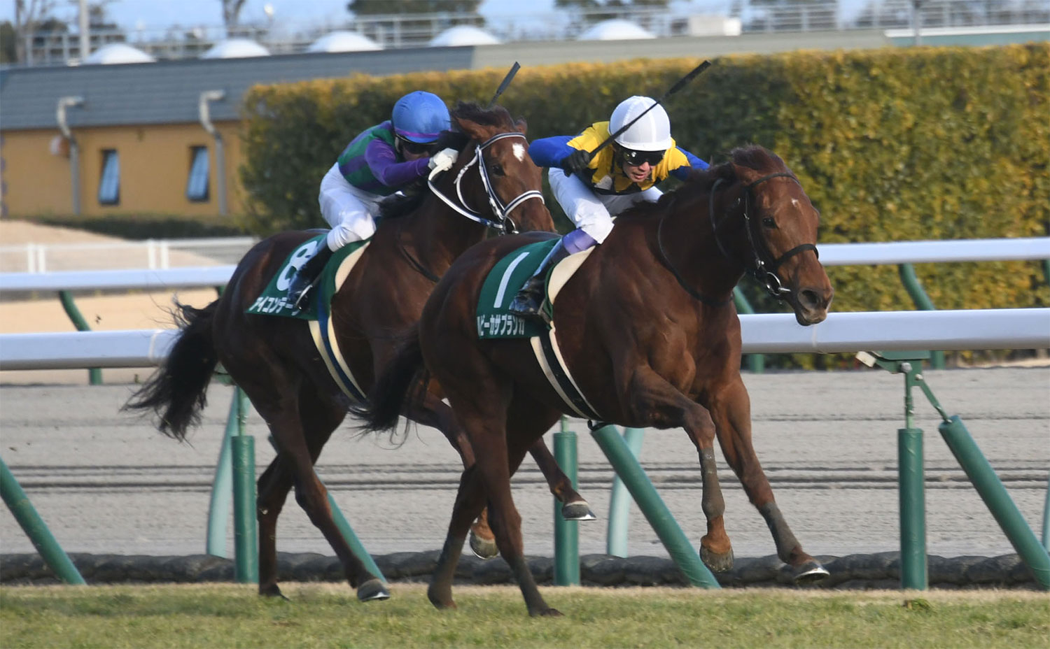 第59回愛知杯を制したルビーカサブランカ、鞍上は武豊騎手(c)netkeiba.com