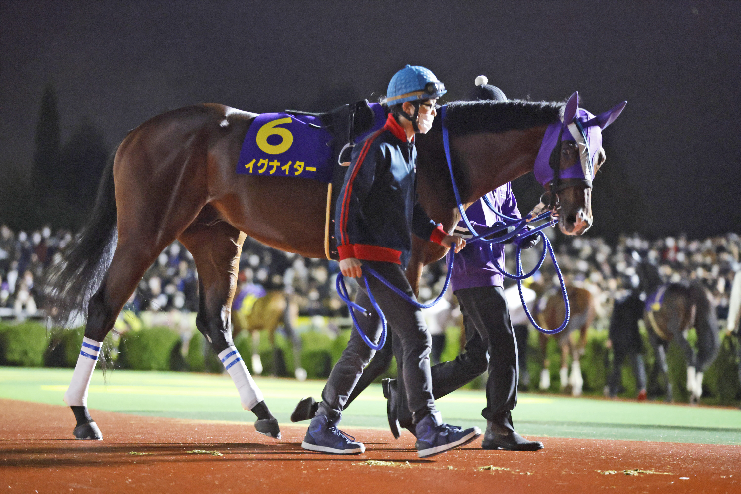 2022年度のNARグランプリ年度代表馬に輝いたイグナイター(撮影：高橋正和)