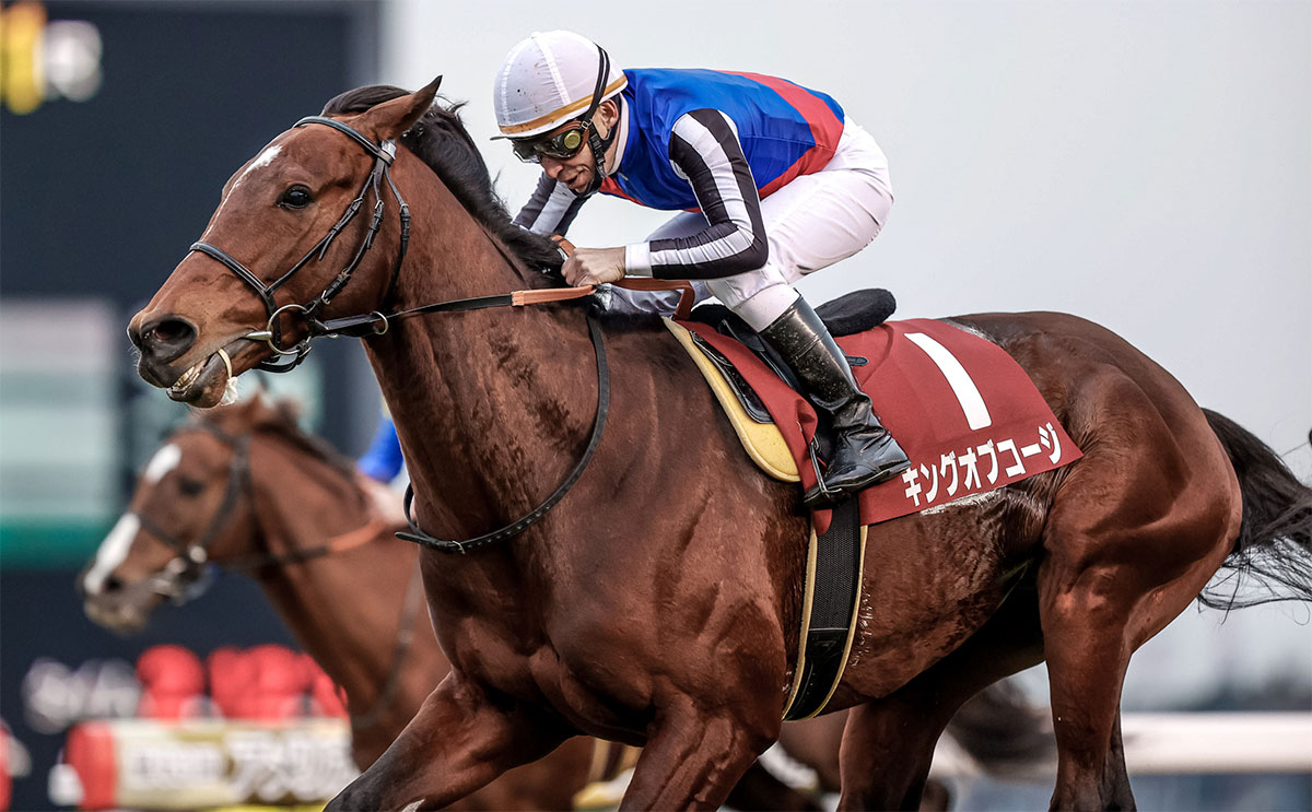 【AJCC予想】過去10年のレース結果（1～3着馬）のデータ一覧/競馬予想データ