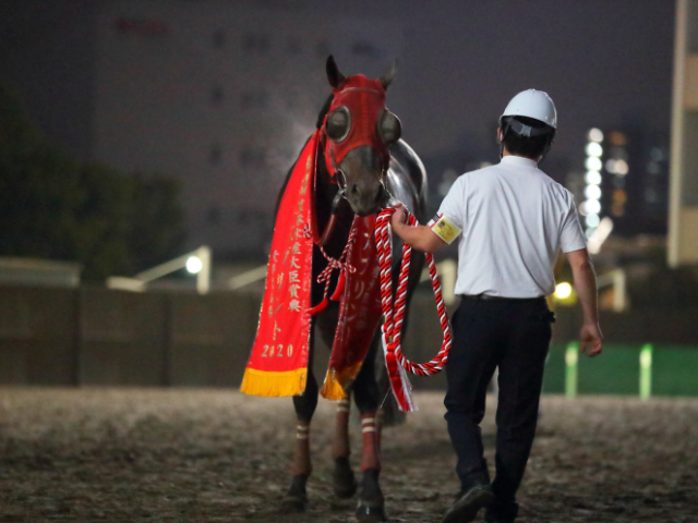 2020年JBCスプリント勝利時のサブノジュニア(撮影：高橋正和)