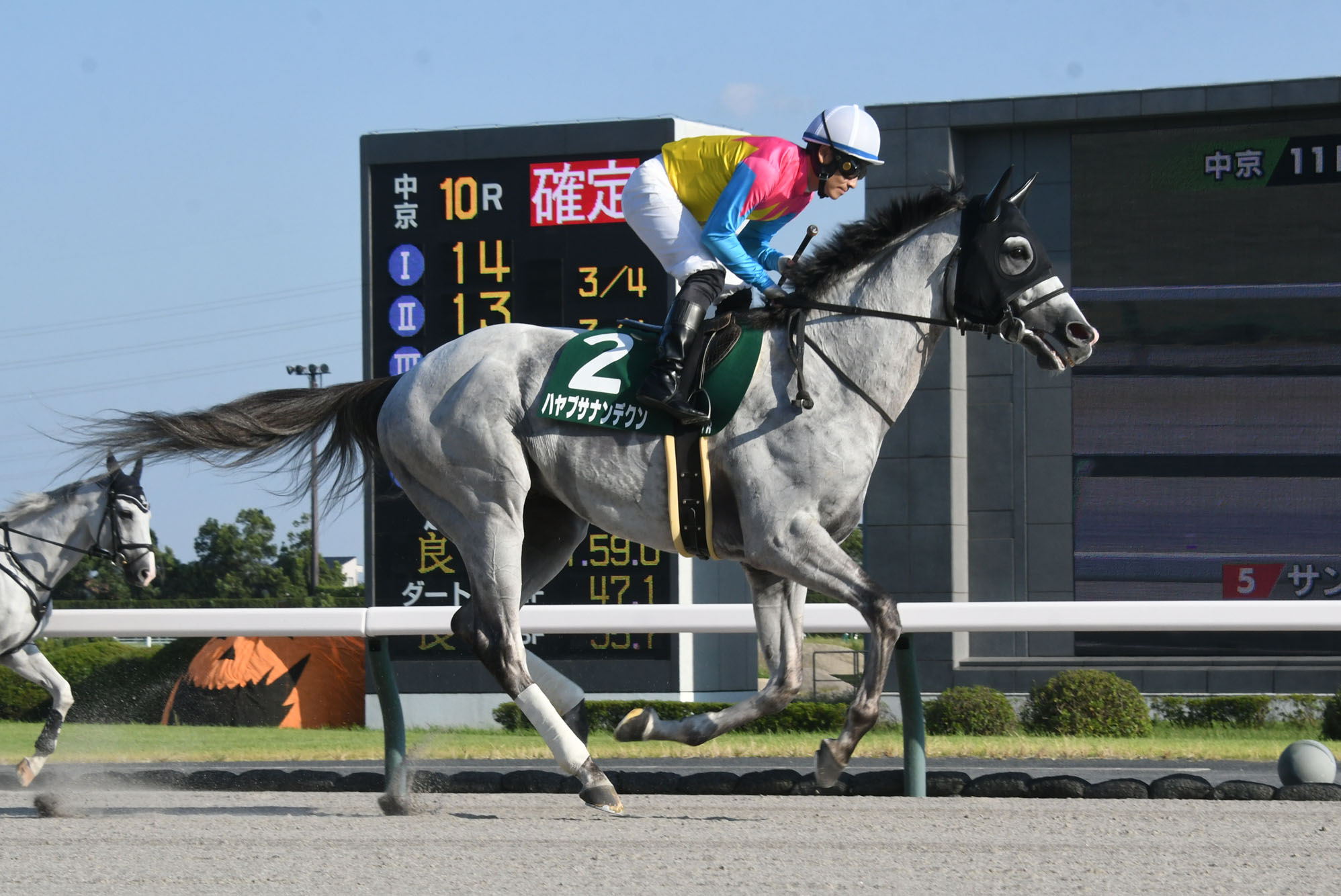 【東海S2023・騎手データ】中京ダ1800mで好成績の騎手は？ 騎乗騎手の中京ダ1800m過去10年の成績/競馬予想データ