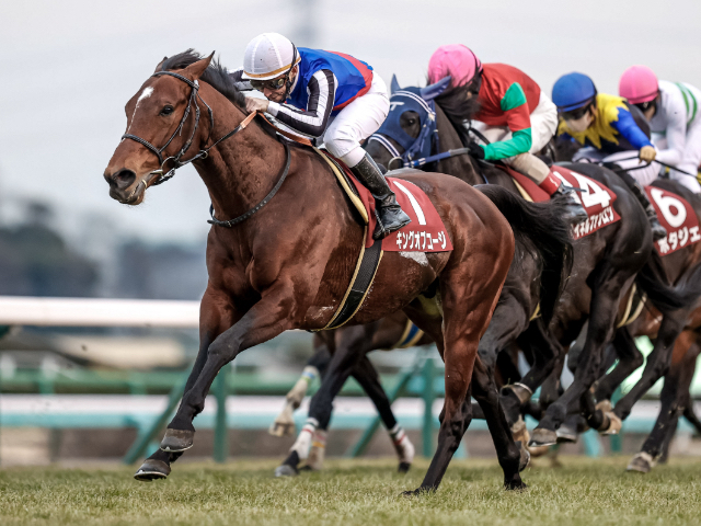 【AJCC予想】有利な枠順は？ 過去10年の枠番・馬番の成績/競馬予想データ