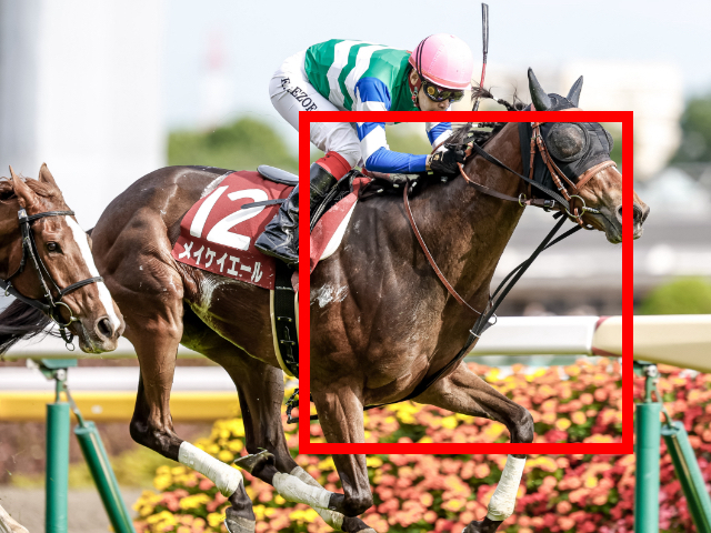 馬具まとめ】競走馬がレース中に使用している馬具の名称や役割は？ モズアスコットのむながい、メイケイエールの折り返し手綱など | 競馬まとめ -  netkeiba