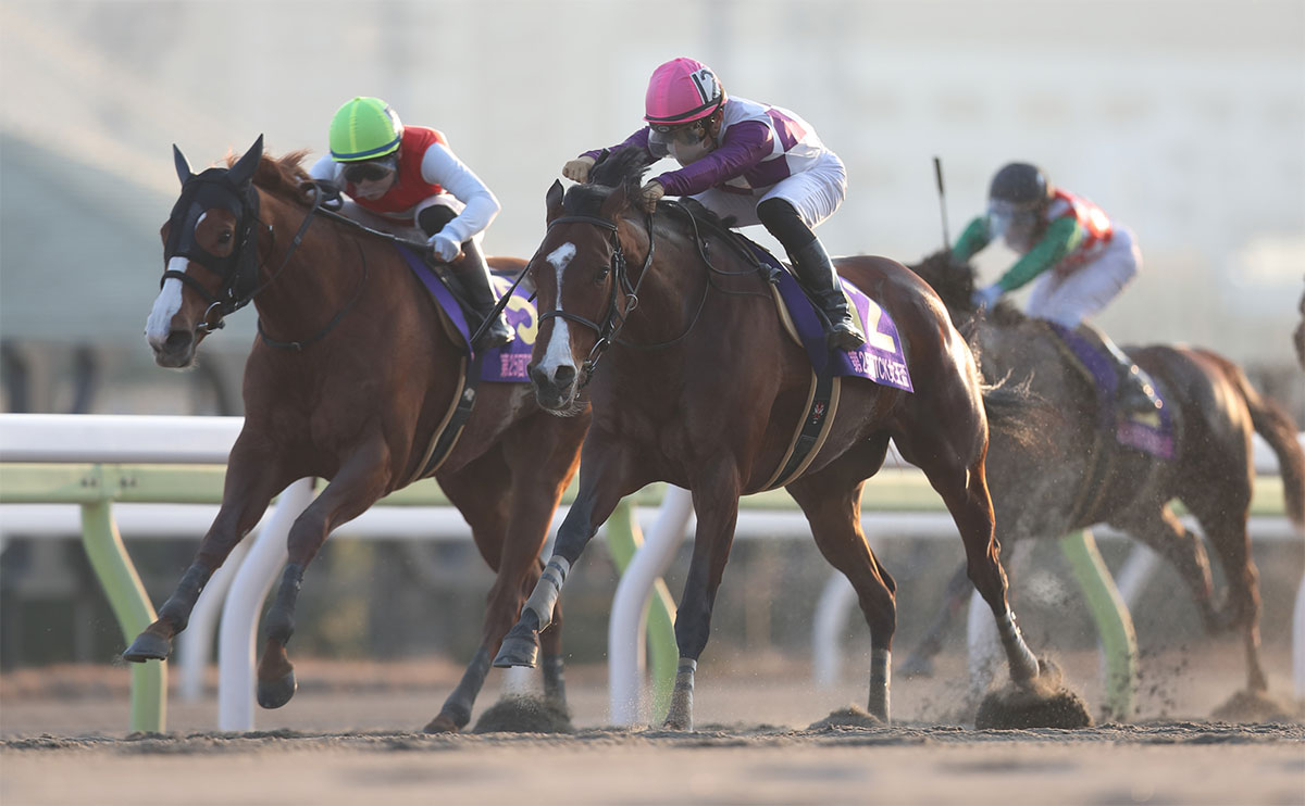 【TCK女王盃予想】有利な枠順は？ 過去10年の枠番・馬番の成績/競馬予想データ