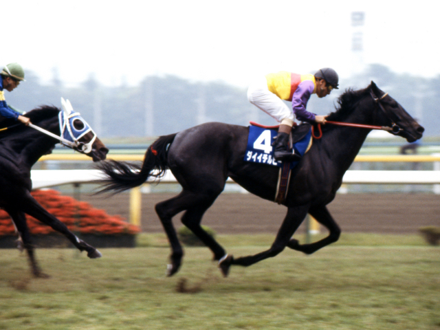 ダイイチルビーの軌跡 史上初の快挙を果たした『華麗なる一族』の快速牝馬/名馬列伝