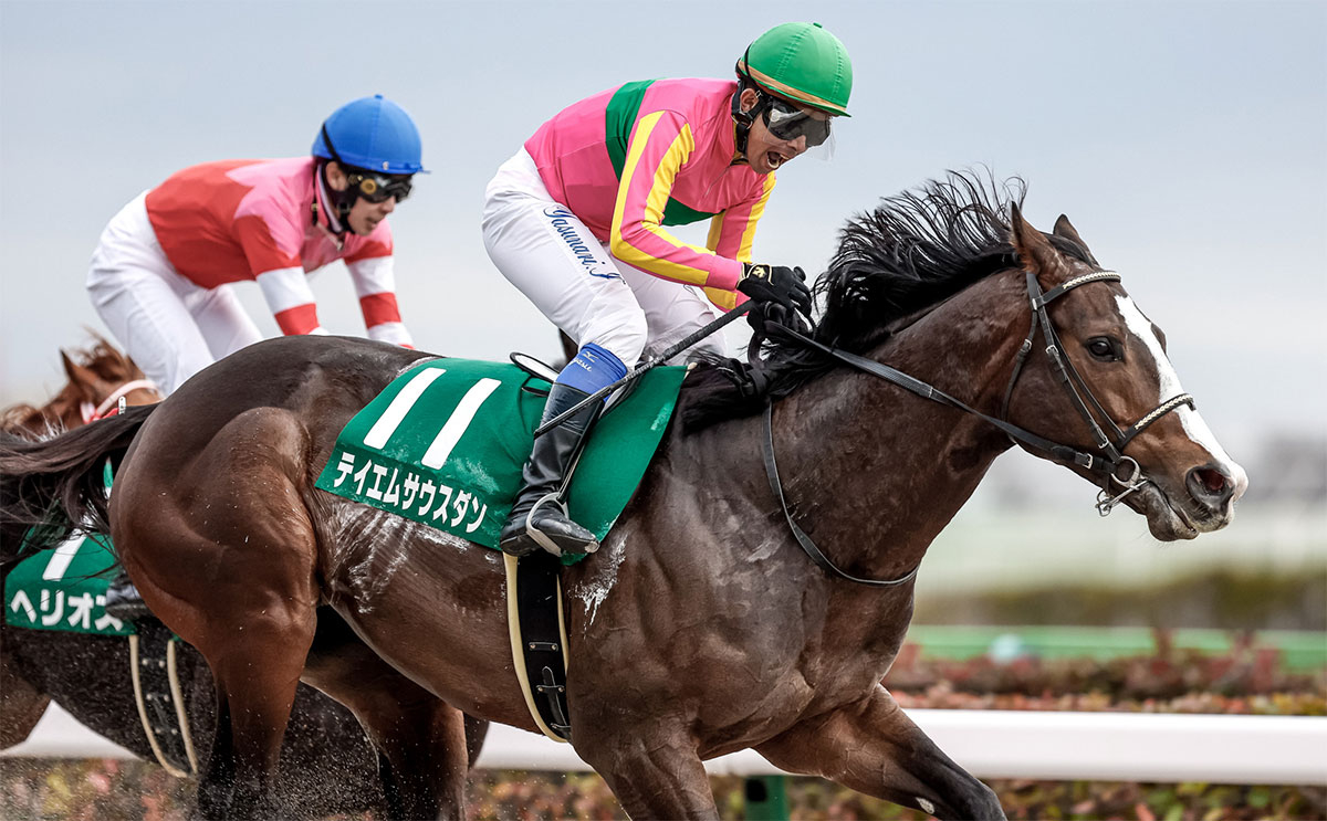 【根岸S予想】的中のポイントはローテと脚質 過去10年のレース結果（1～3着馬）のデータ一覧/競馬予想データ