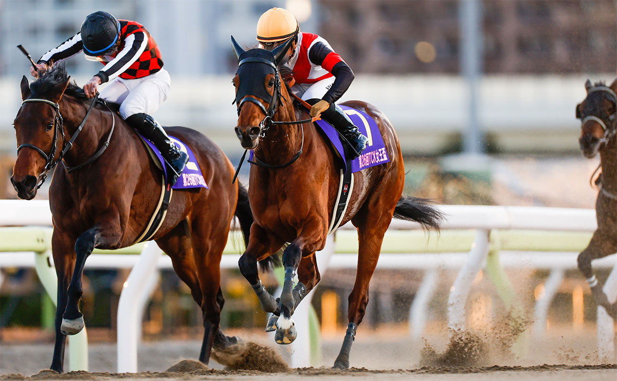 TCK女王盃を制したグランブリッジ(撮影：高橋正和)