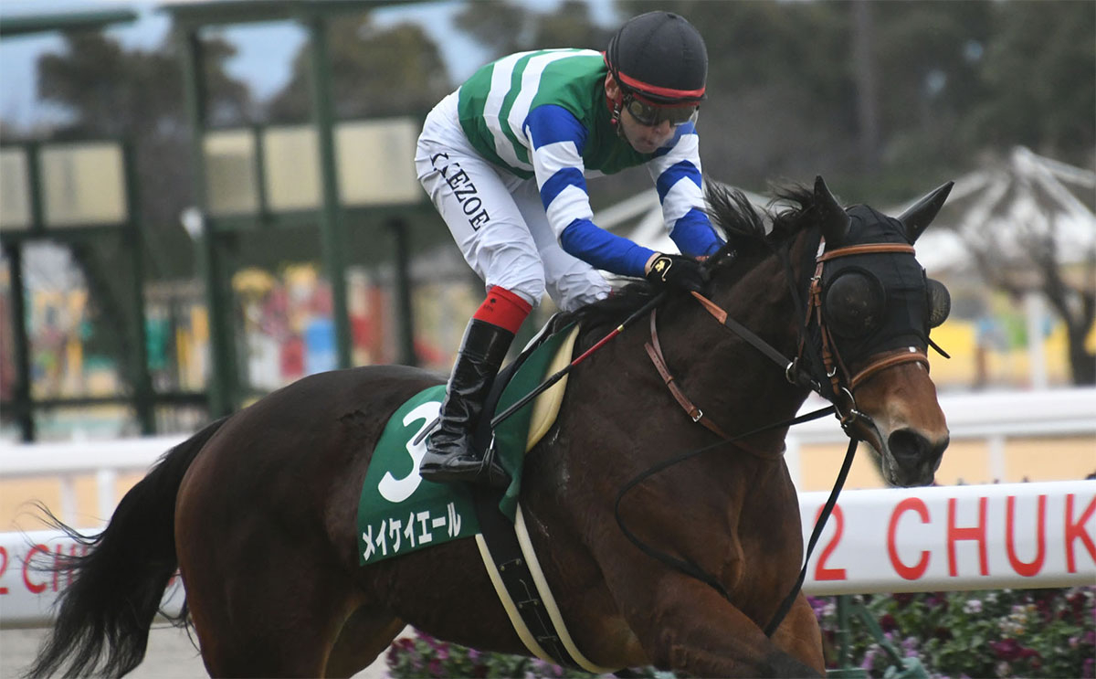 【シルクロードS予想】過去10年のレース結果（1～3着馬）のデータ一覧/競馬予想データ