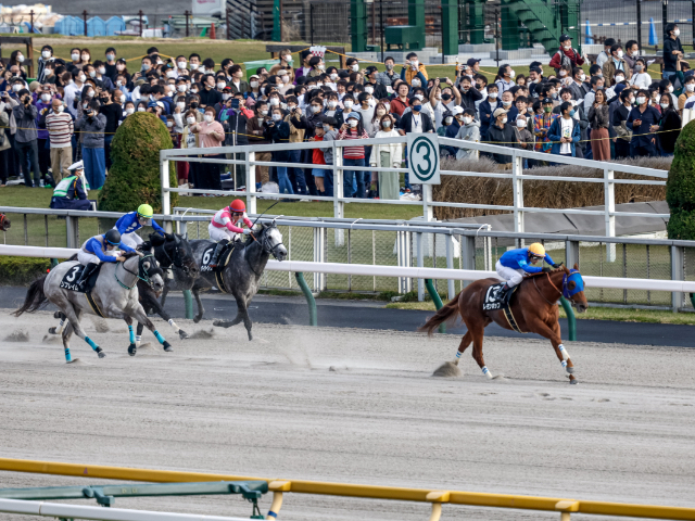 戸崎圭太騎手が騎乗予定、東京ダ1400m全勝のレモンポップ(撮影：下野雄規)