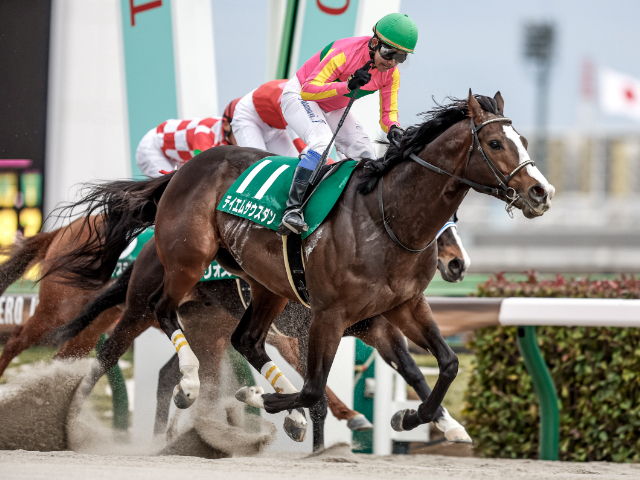 【根岸S2023予想】有利な枠順は？ 過去10年の枠番・馬番の成績/競馬予想データ