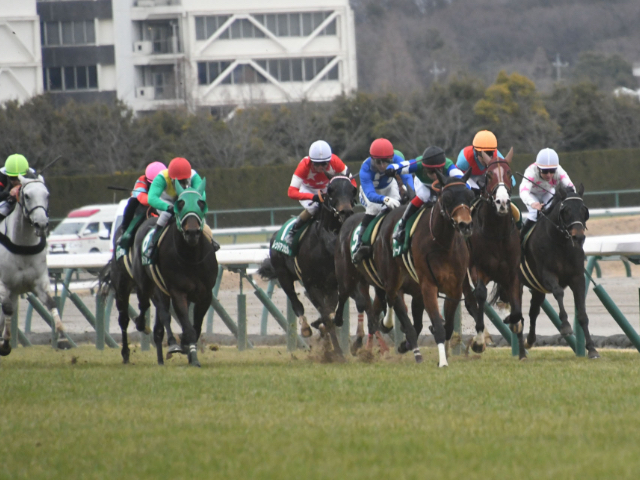 【シルクロードS2023予想】有利な枠順は？ 過去10年の枠番・馬番の成績/競馬予想データ