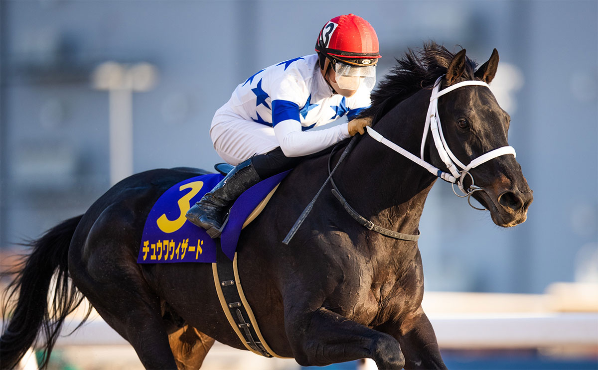 2022年川崎記念優勝馬チュウワウィザード(撮影：高橋正和)