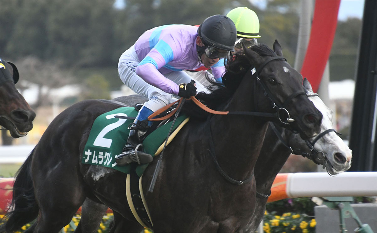 内を突いたナムラクレアがゴール前の混戦を制し重賞3勝目(c)netkeiba.com