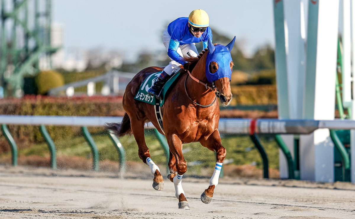 入念に返し馬をする戸崎圭太騎手レモンポップ(撮影：下野雄規)