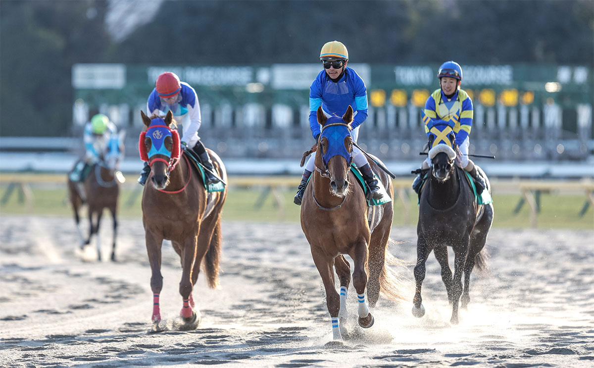 レース後、引き上げるレモンポップ(撮影：下野雄規)