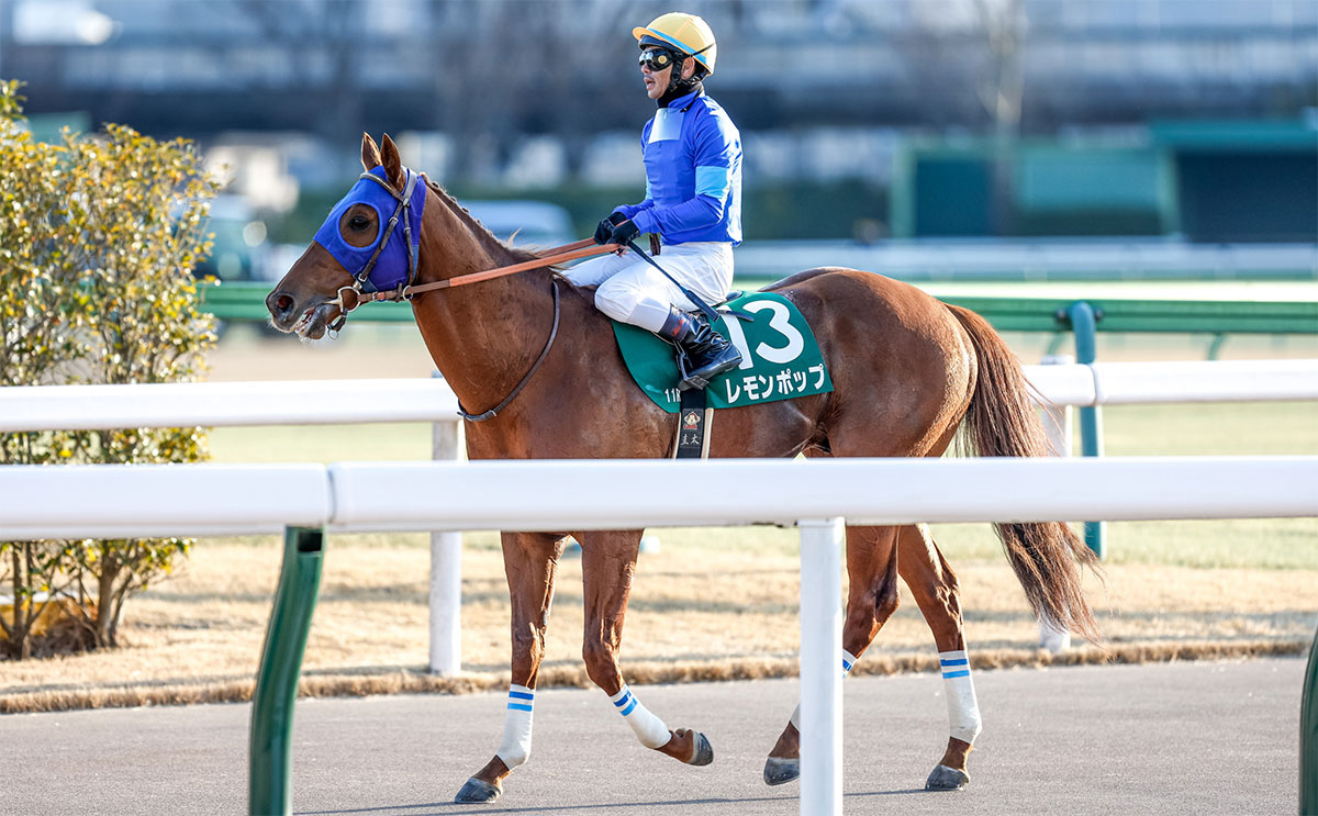 レース後、引き上げるレモンポップ(撮影：下野雄規)