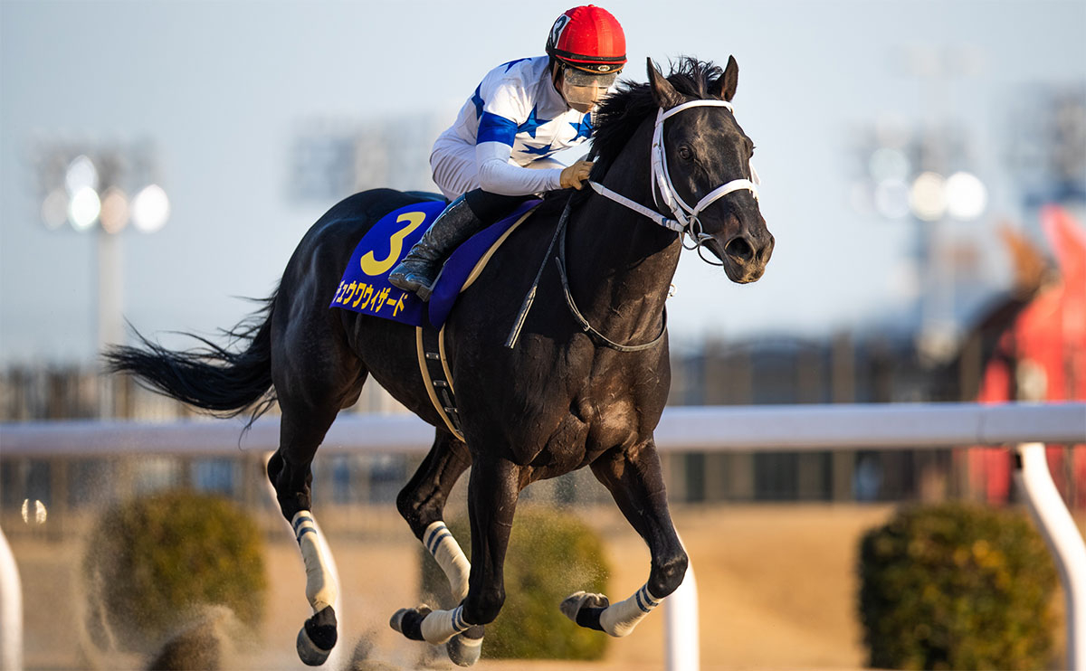 【川崎記念予想】過去10年のレース結果（1～3着馬）のデータから浮かび上がる予想のポイントとは？/競馬予想データ