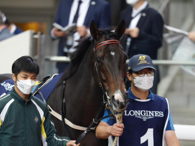 香港の英雄ゴールデンシックスティ(撮影：高橋正和)