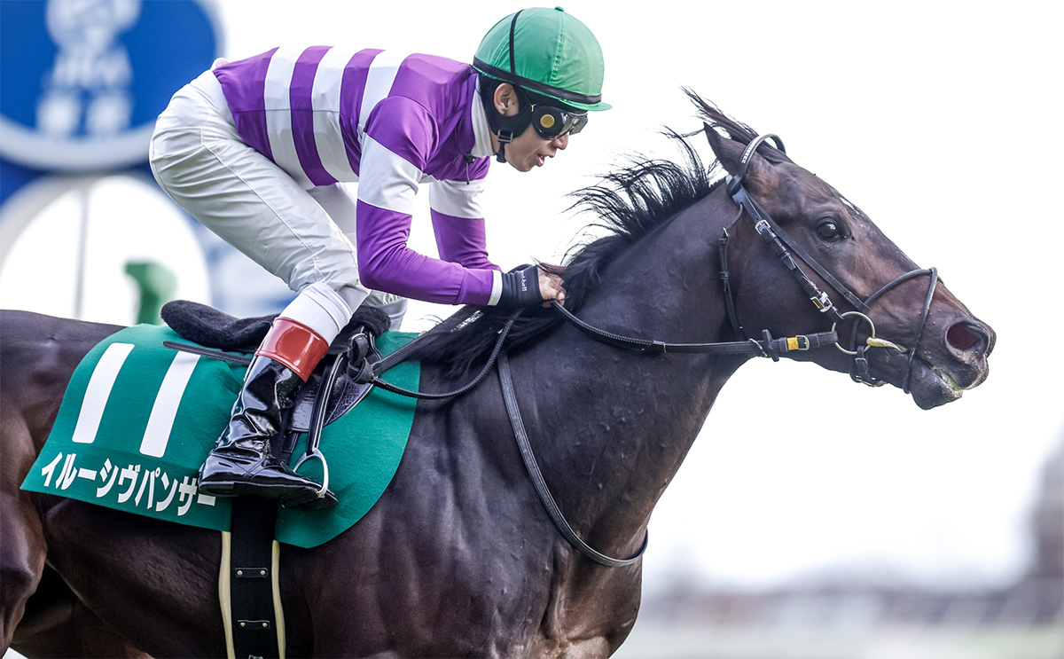 【東京新聞杯予想】的中のポイントは前走と父馬！ 過去10年のレース結果（1～3着馬）のデータ一覧/競馬予想データ