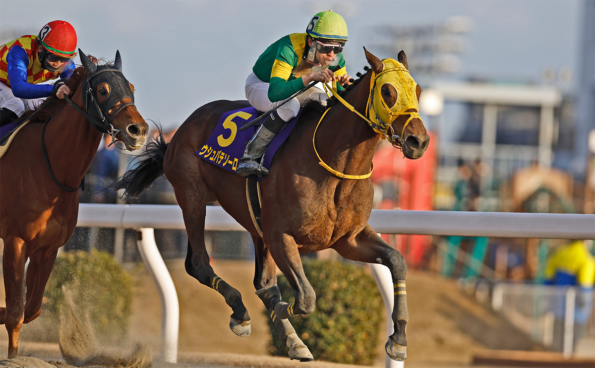 【川崎記念 結果情報】ウシュバテソーロが鮮やかに抜け出しビッグレース連勝!!