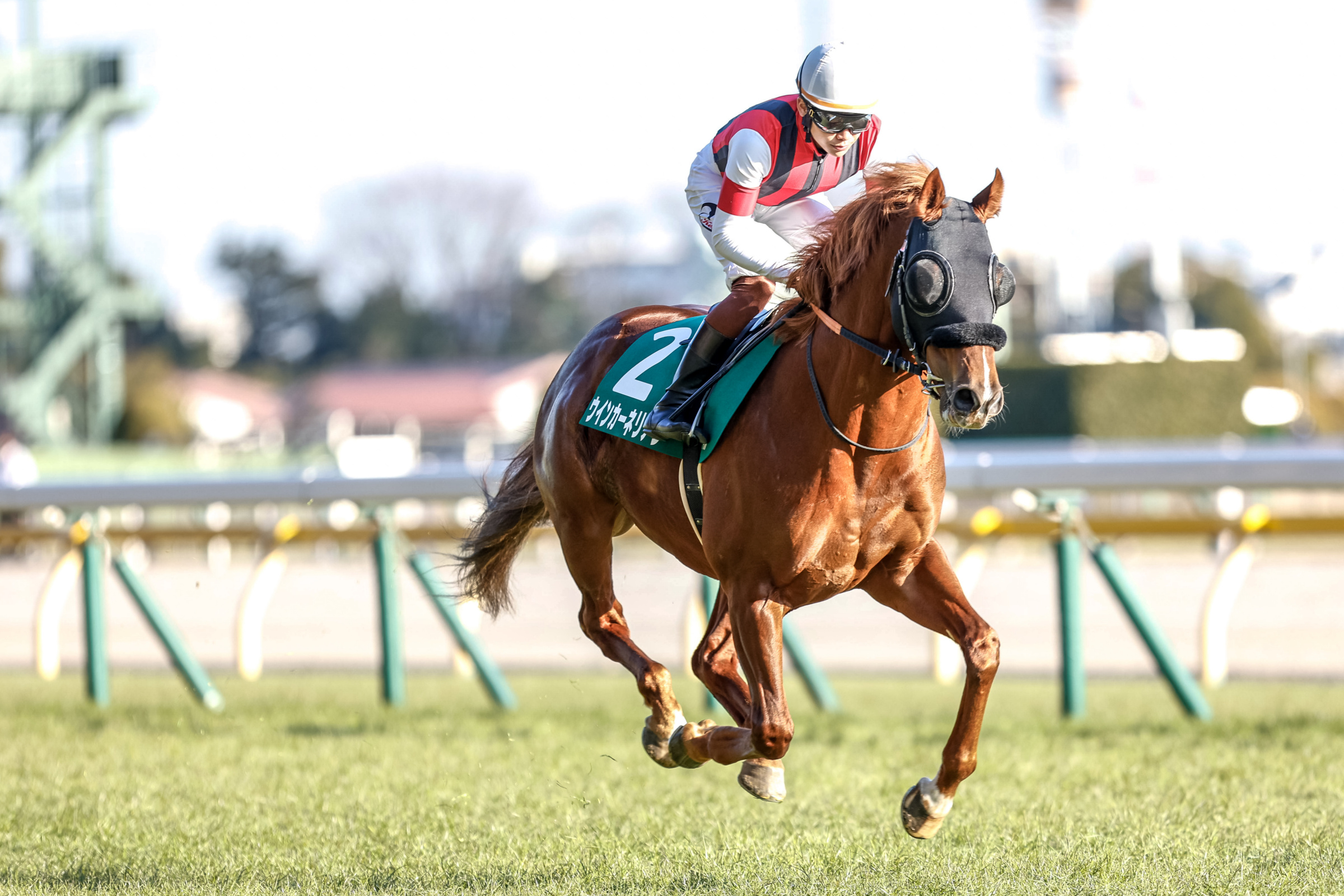 入念に返し馬をする三浦皇成騎手ウインカーネリアン(撮影：下野雄規)