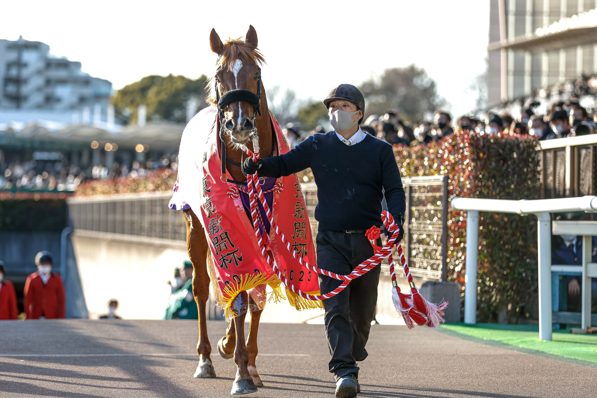 優勝レイをかけて地下道から上がってきたウインカーネリアン(撮影：下野雄規)