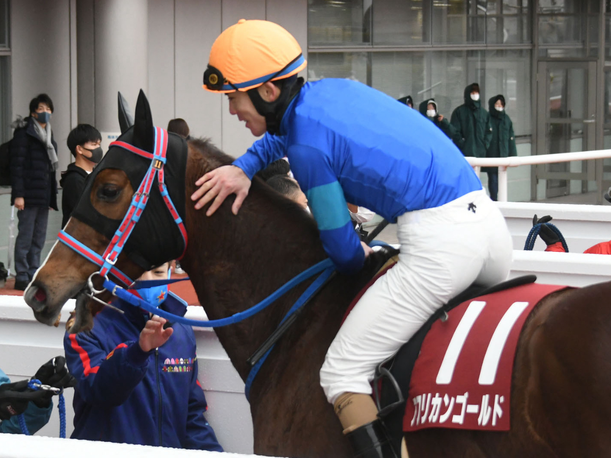 【京都記念2023】レース概要・出走予定馬・ニュースなど最新情報まとめ エフフォーリア、ドウデュースなど出走