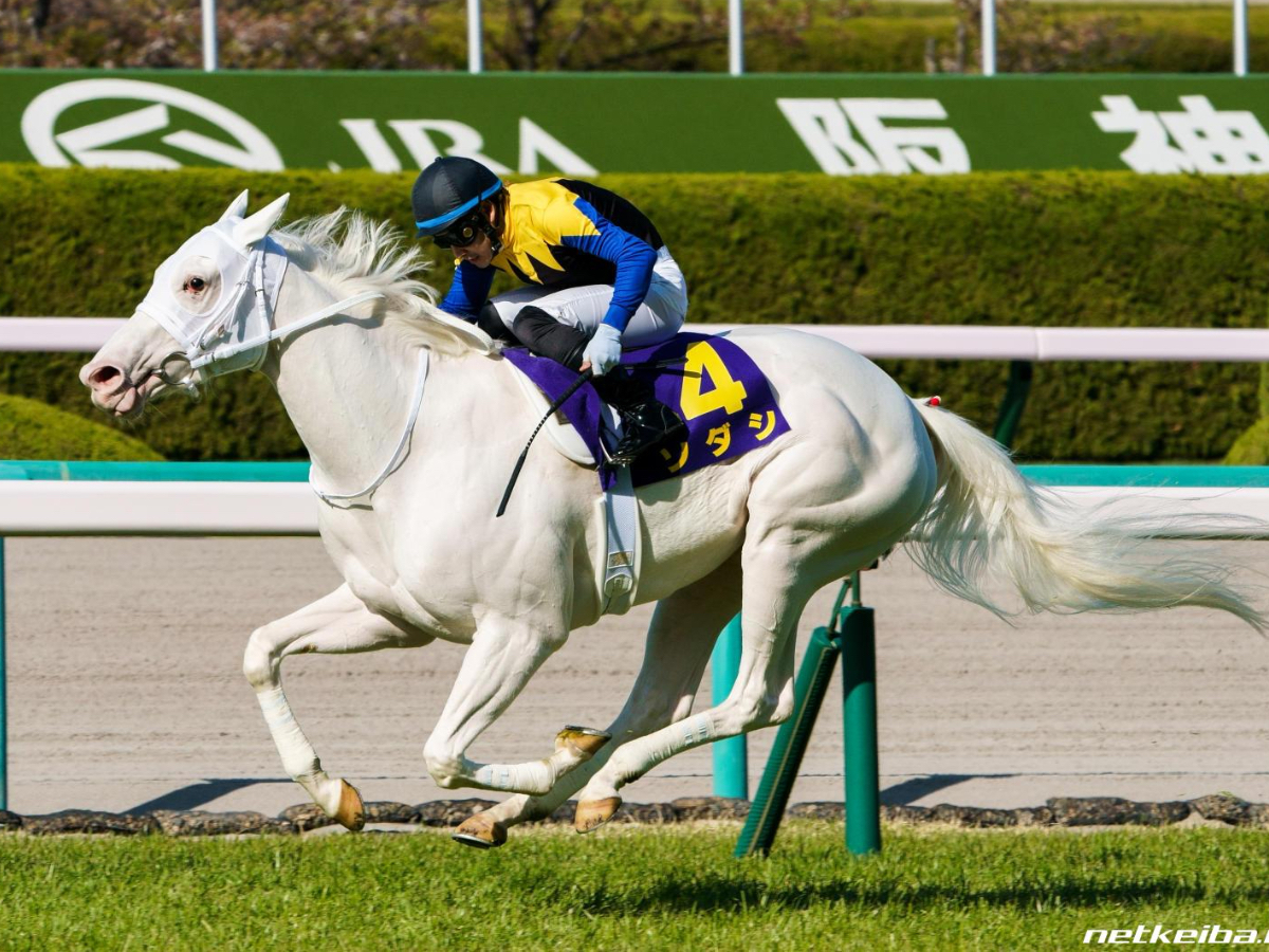 阪神芝1600mのレコードを持つソダシ(ユーザー提供：GUSOKUさん)