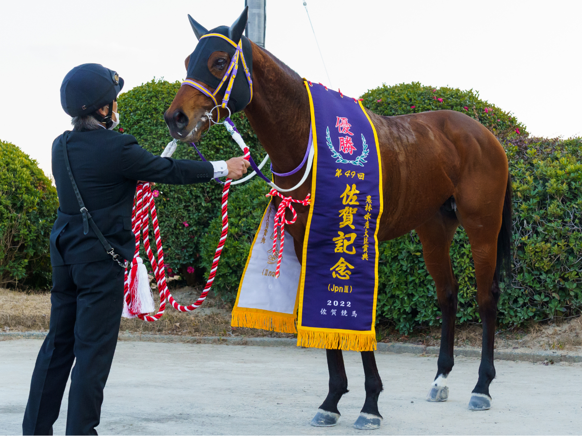 【佐賀記念予想】有利な枠順は？ 過去10年の枠番の成績/競馬予想データ