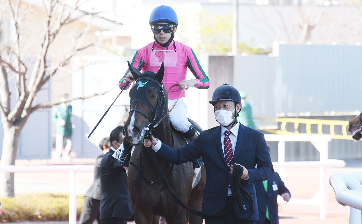 【クイーンカップ2023予想】有利な枠順は？ 過去10年の枠番・馬番の成績/競馬予想データ