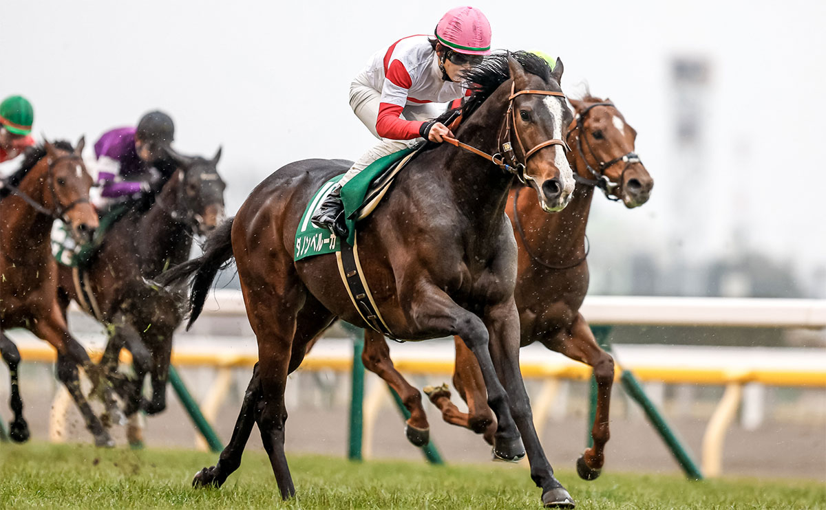 【共同通信杯予想】的中のポイントは厩舎と前走！ 過去10年のレース結果（1～3着馬）のデータ一覧/競馬予想データ