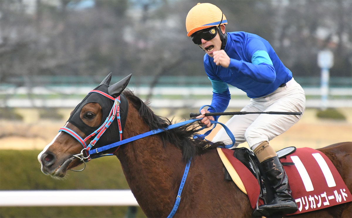 【京都記念予想】的中のポイントは前走クラスと着順！ 過去10年のレース結果（1～3着馬）のデータ一覧/競馬予想データ